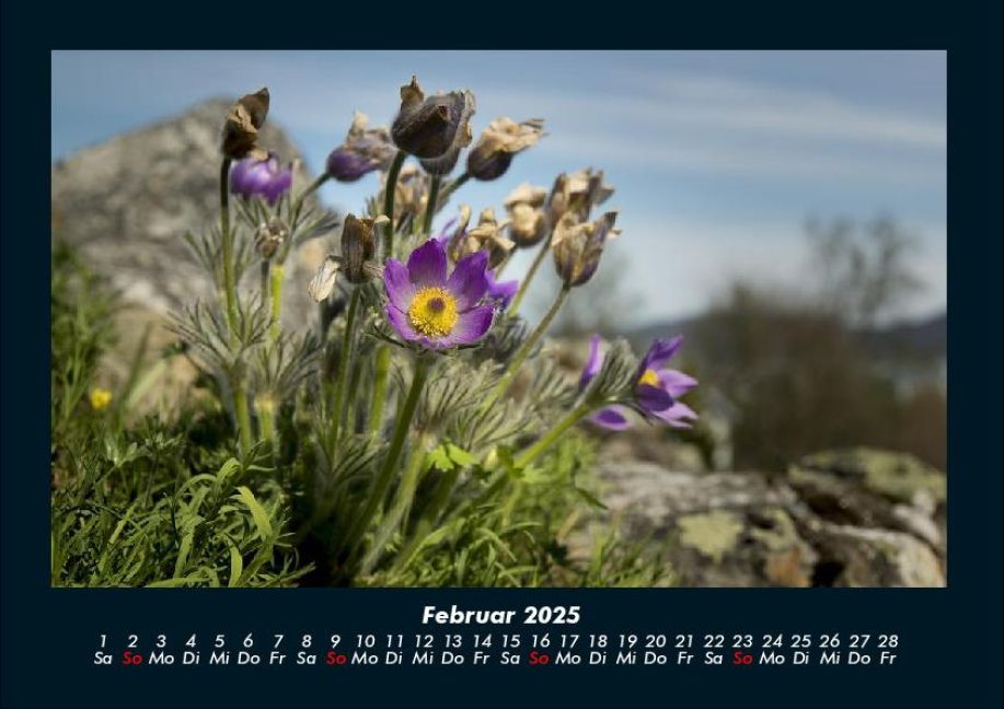 additionalImage6
