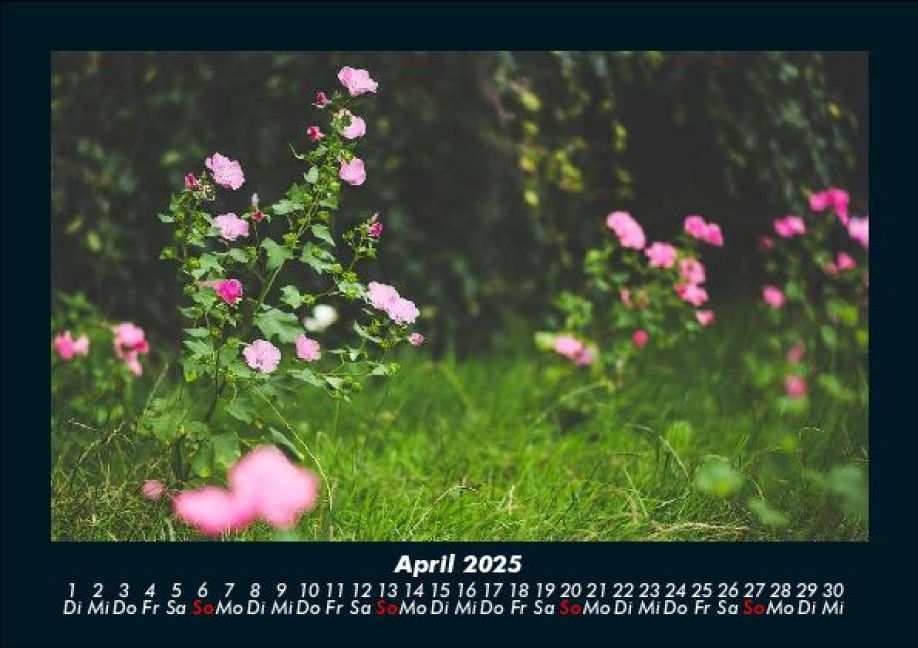 additionalImage8