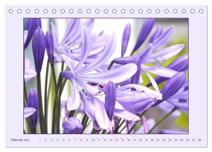 additionalImage7