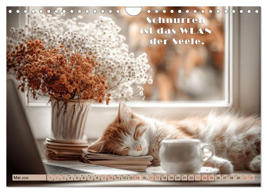 additionalImage10
