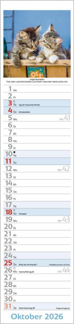 additionalImage10