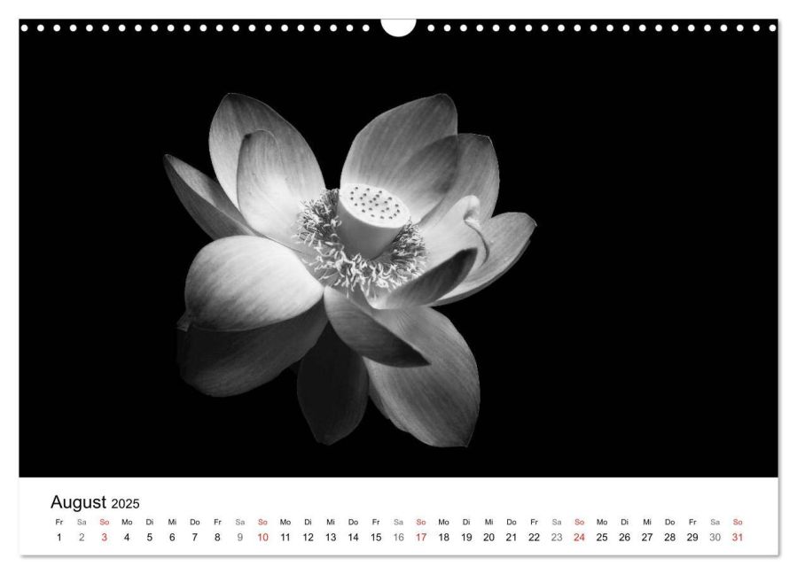 additionalImage13
