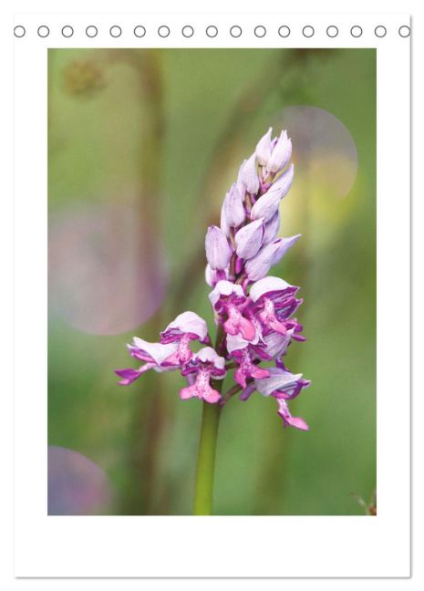 additionalImage6