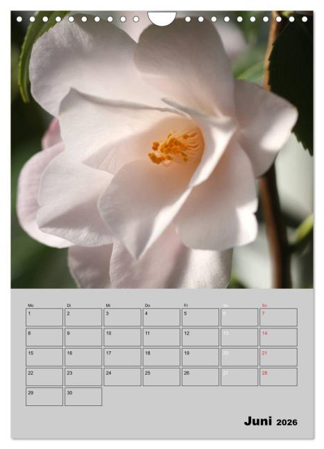 additionalImage11