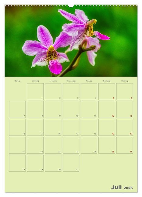 additionalImage12