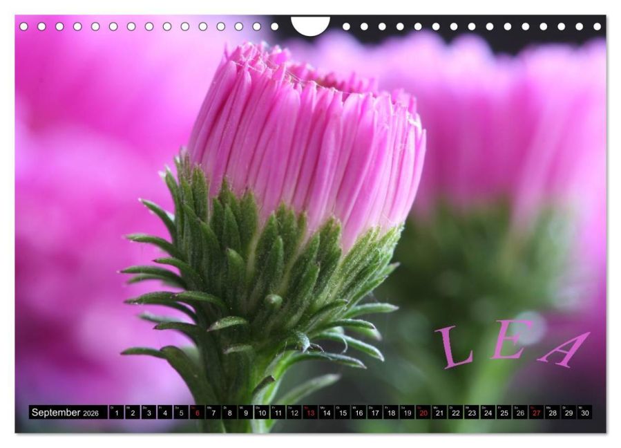 additionalImage14