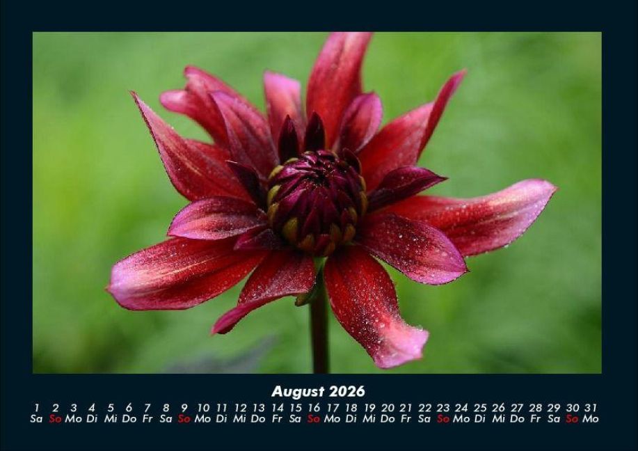 additionalImage12