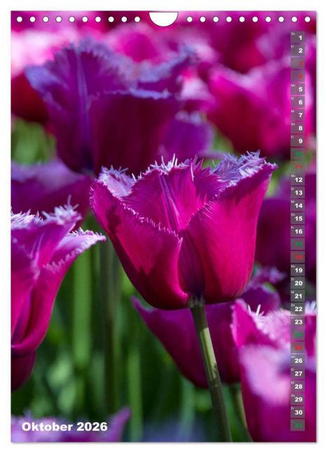 additionalImage2