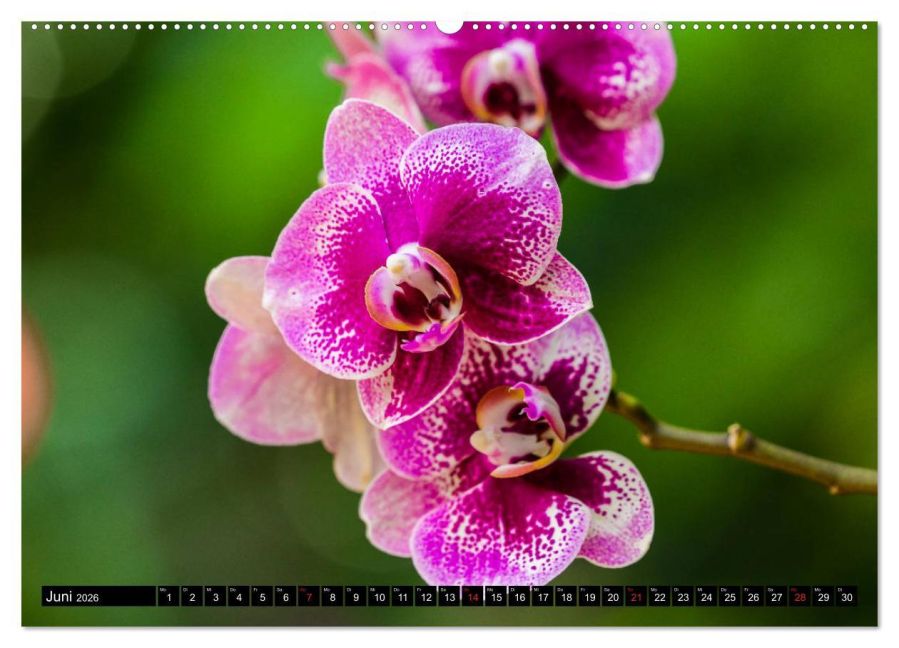additionalImage10