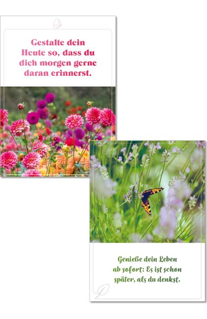 additionalImage3