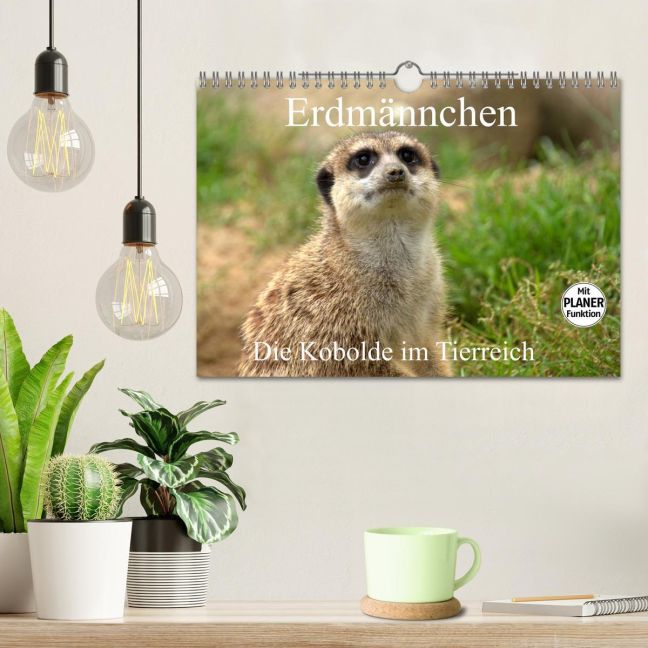 additionalImage1