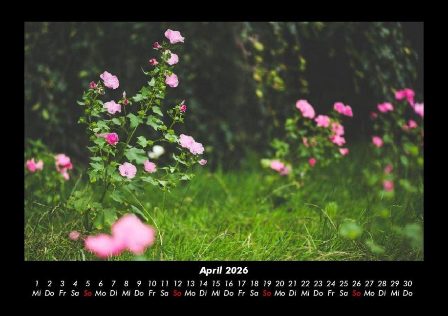 additionalImage8