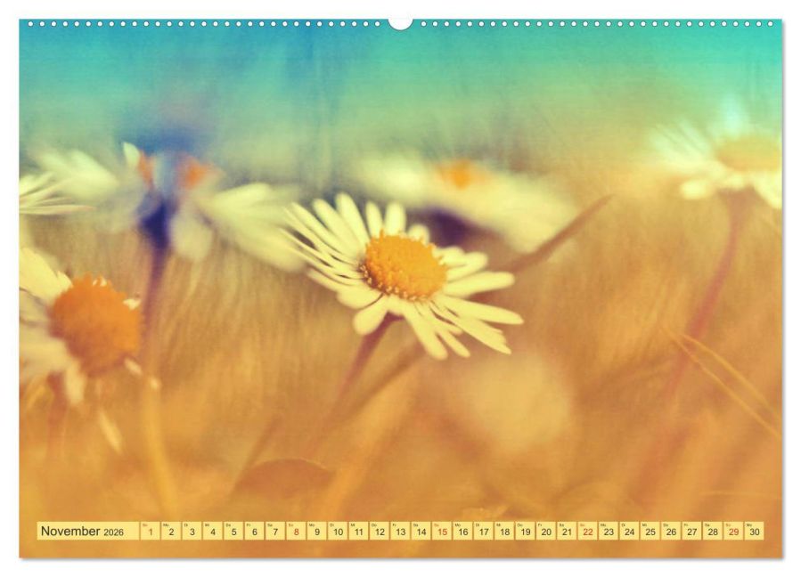 additionalImage3