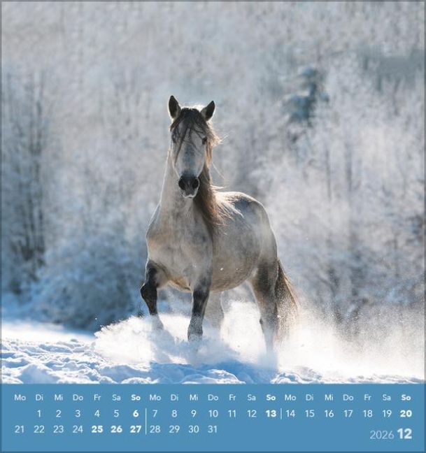 additionalImage12