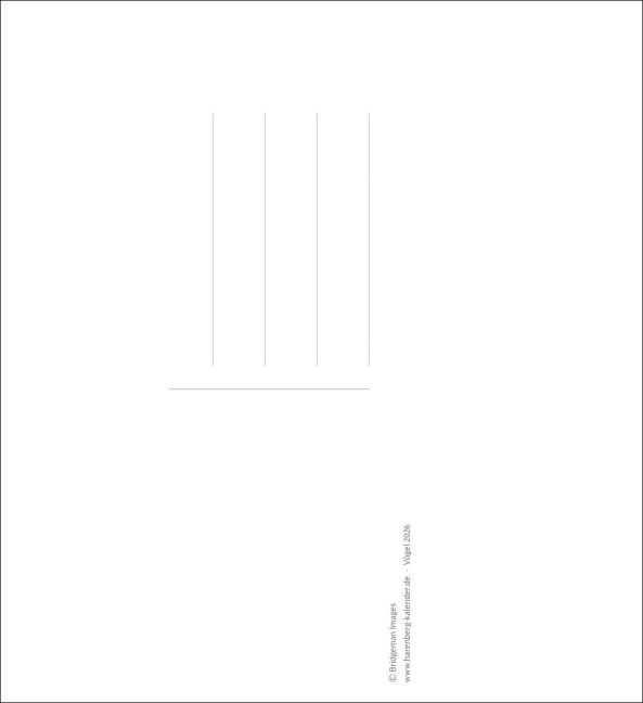 additionalImage2