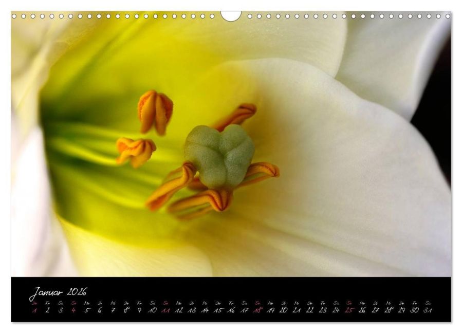 additionalImage6