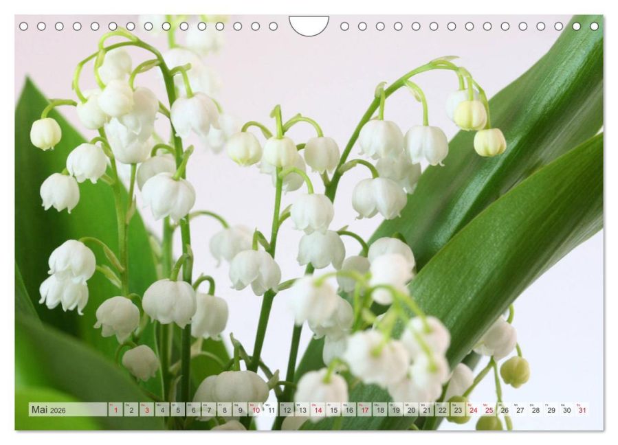 additionalImage10