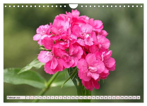 additionalImage4