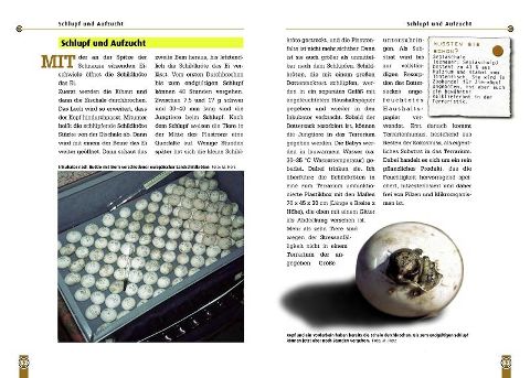 additionalImage3