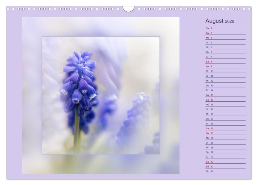 additionalImage13