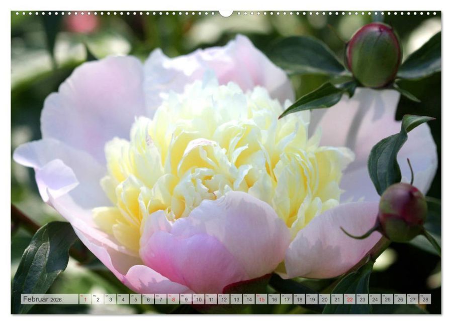 additionalImage6
