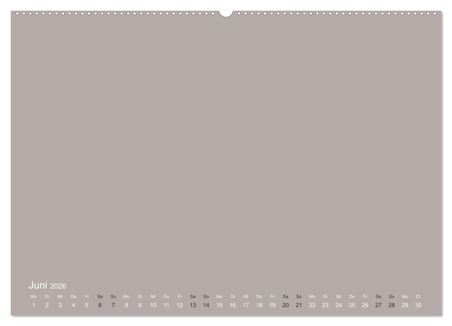 additionalImage11