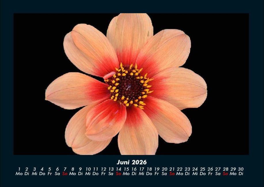 additionalImage10