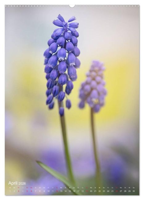 additionalImage8