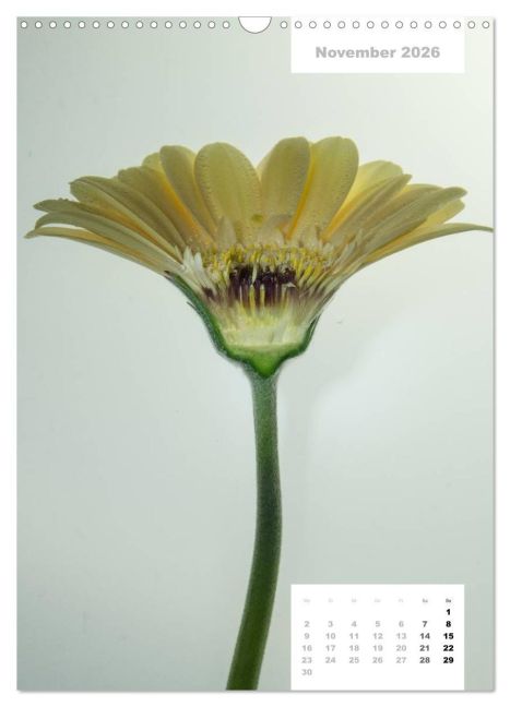 additionalImage3