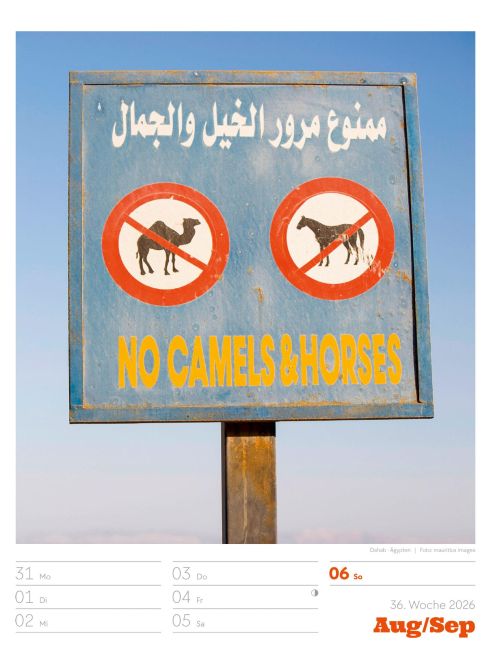 additionalImage39