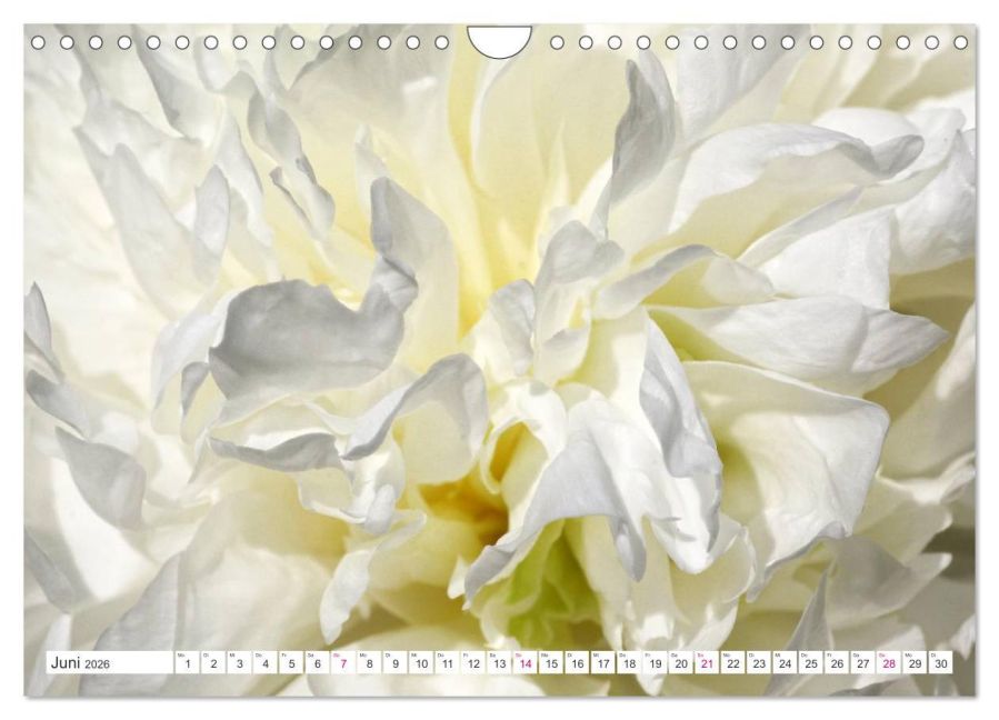 additionalImage11