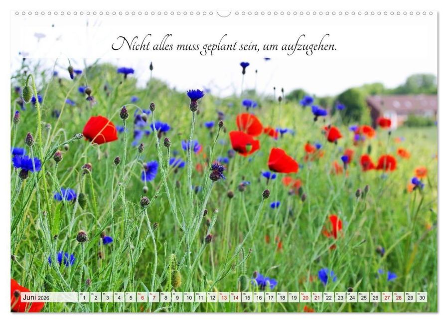 additionalImage10