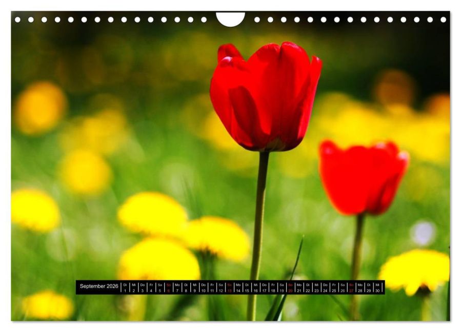 additionalImage14