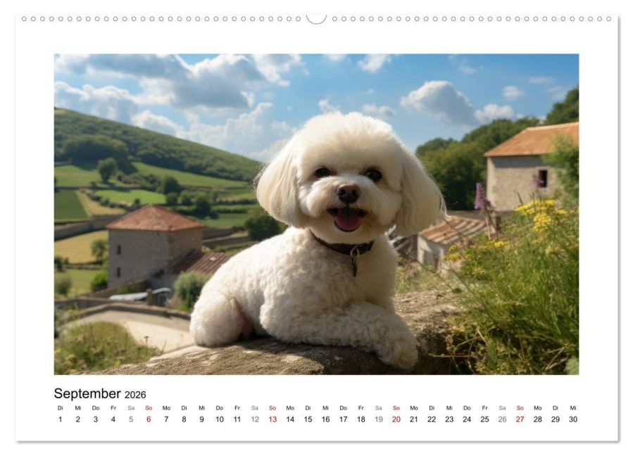 additionalImage14