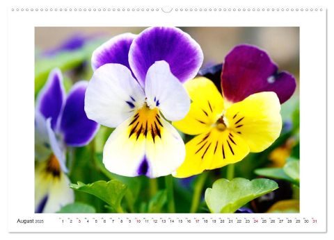 additionalImage12