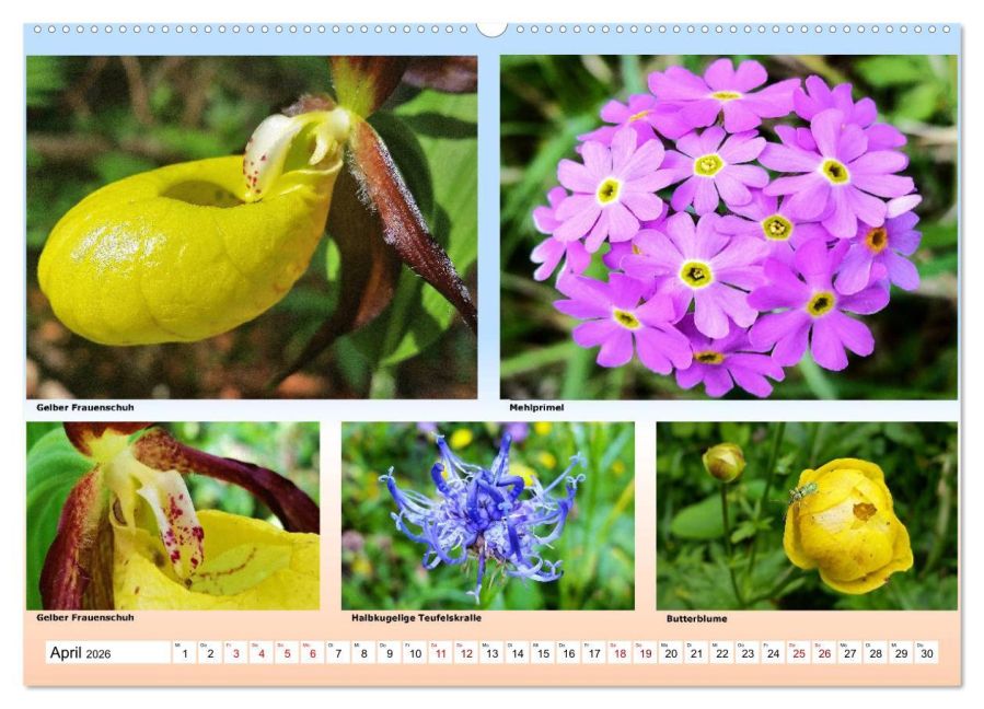 additionalImage8