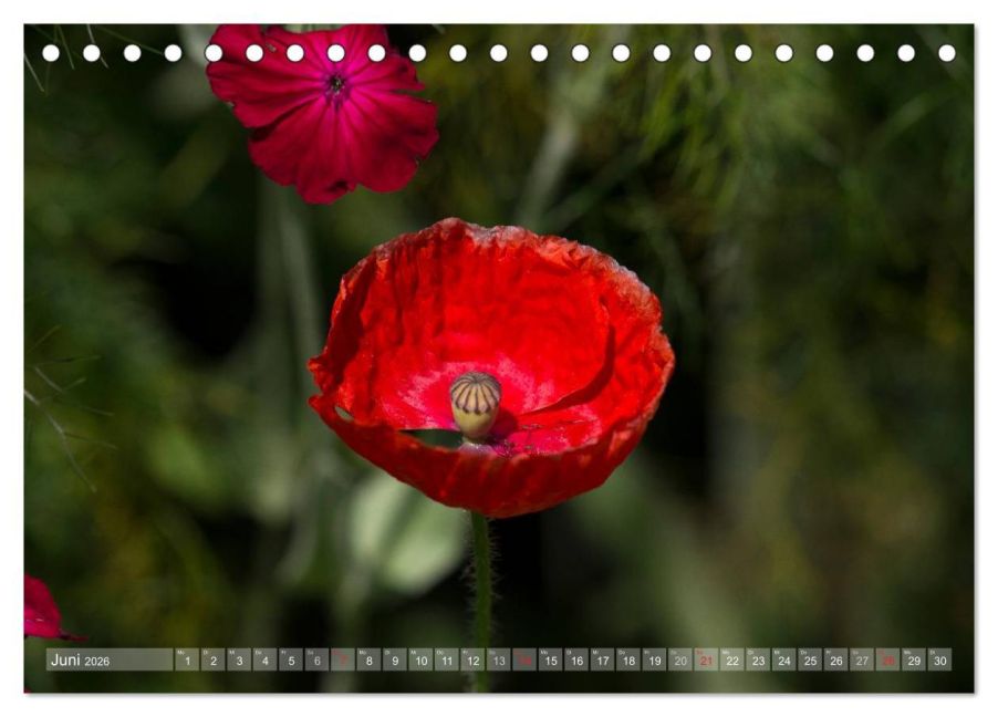 additionalImage11