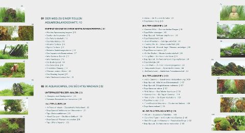 additionalImage1