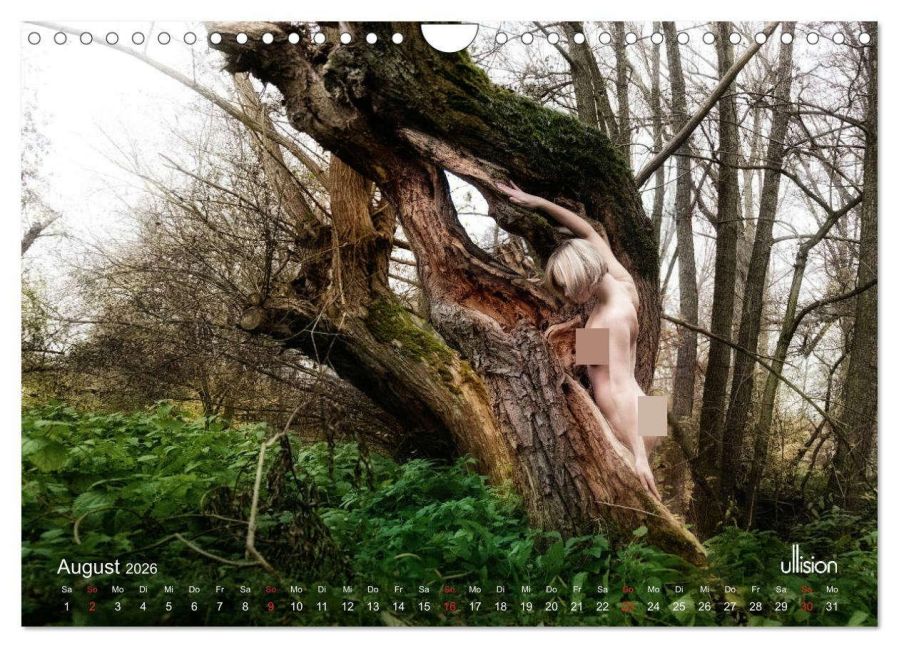 additionalImage13