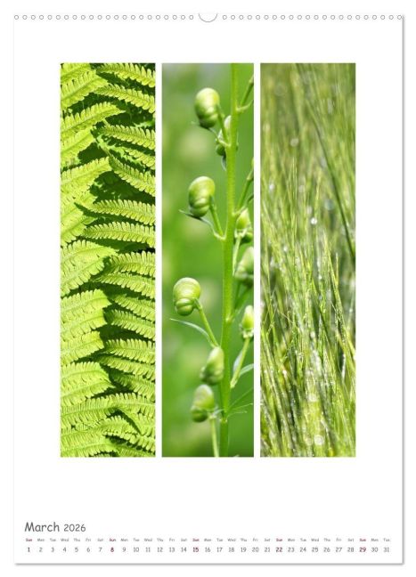 additionalImage7