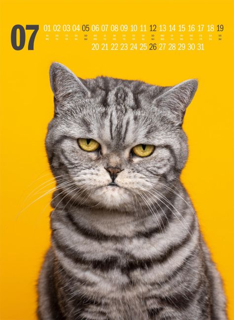 additionalImage7