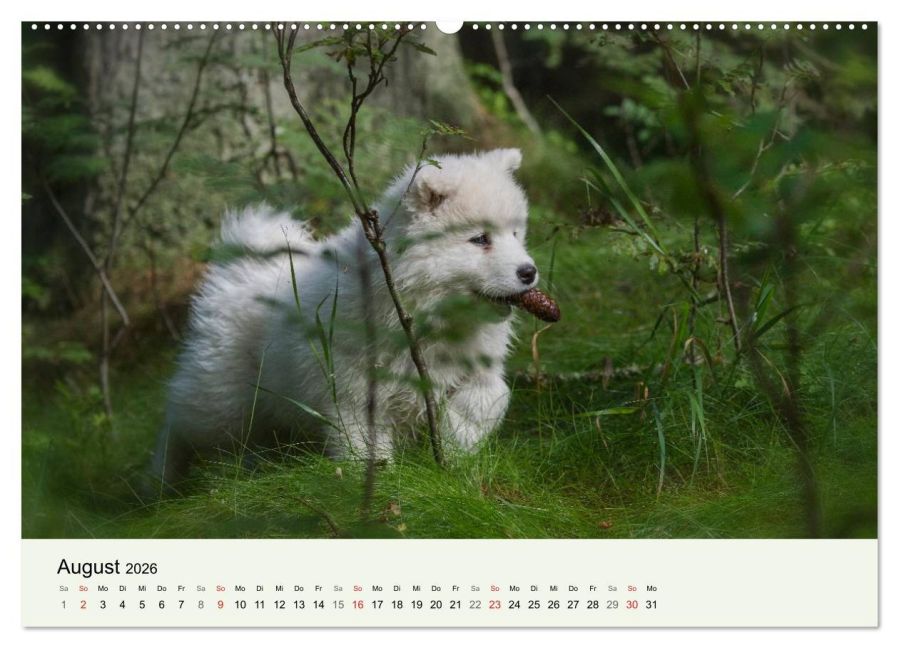 additionalImage12