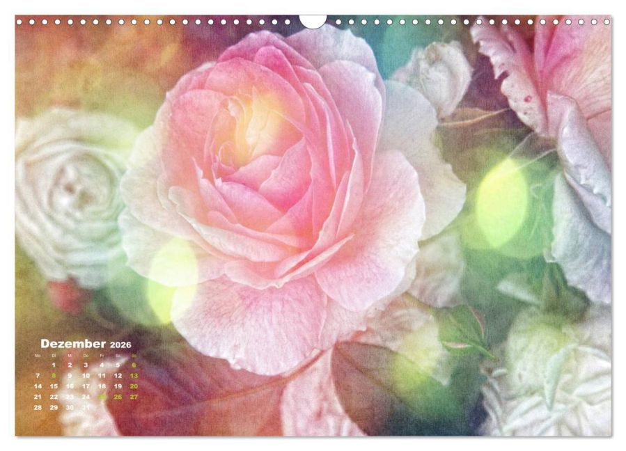 additionalImage4