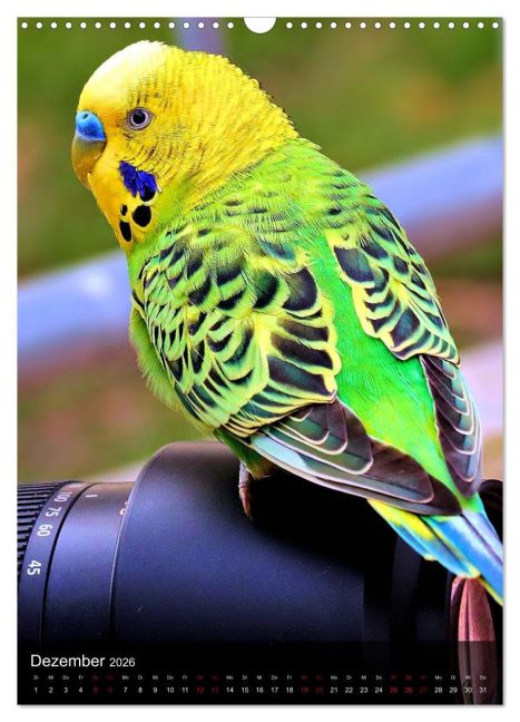 additionalImage4