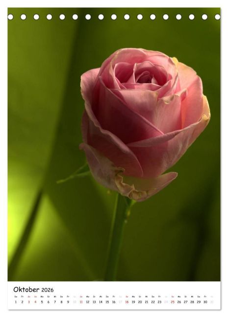 additionalImage2