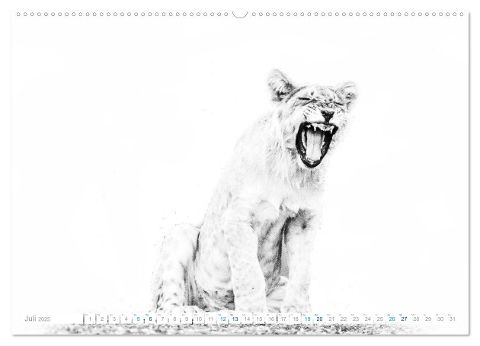 additionalImage11
