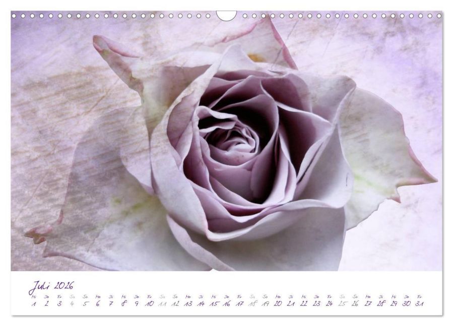 additionalImage12