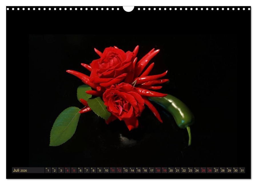 additionalImage12
