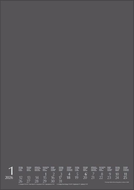 additionalImage1