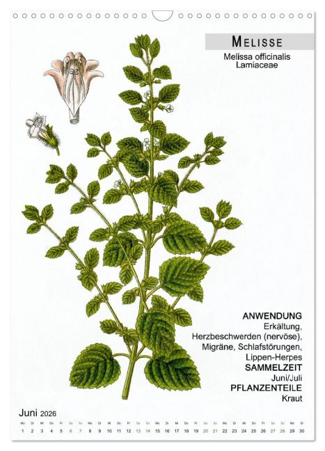 additionalImage11